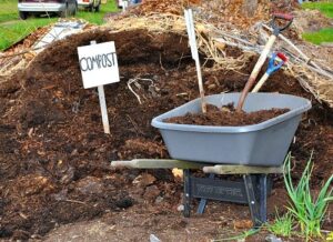 Compost-Is-It-Poisoning-Your-Garden.jpg