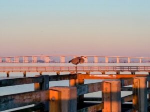 Biloxi-Bay-Bridge-from-Ocean-Springs-MS-Photo-Credit-Margarita-Ibbott-via-DownshiftingPRO.jpg