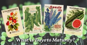 FB-days-to-maturity-v1.jpg