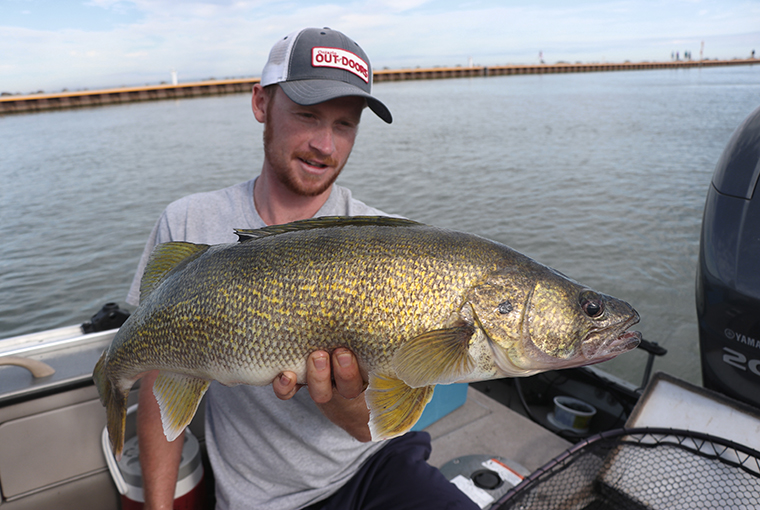 GreatLakesWalleye760.jpg