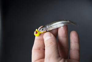 Minnow760.jpg