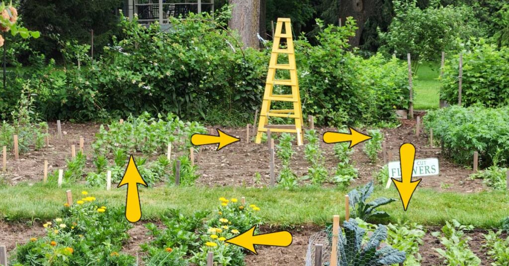 FB-crop-rotation-vegetable-garden-v1-.jpg