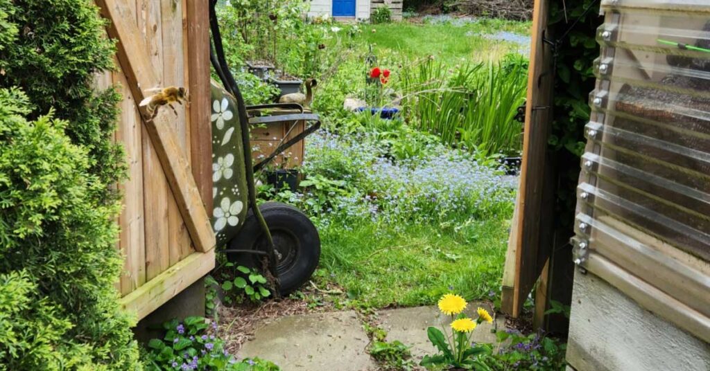 FB-rethinking-no-mow-may-v1.jpg