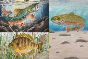 FishArt2025760.jpg
