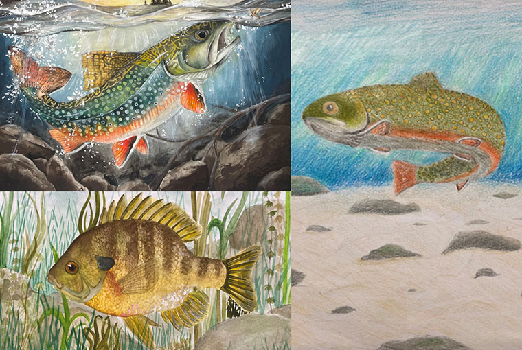 FishArt2025760.jpg