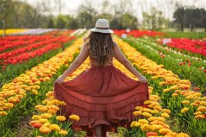 ToDoOntario-Tasc-Tulip-Farm.jpg