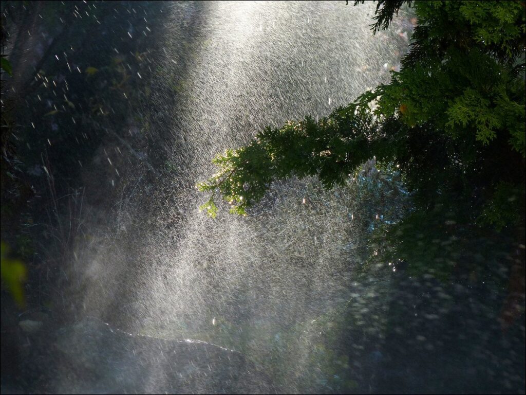 rain-in-garden.jpg