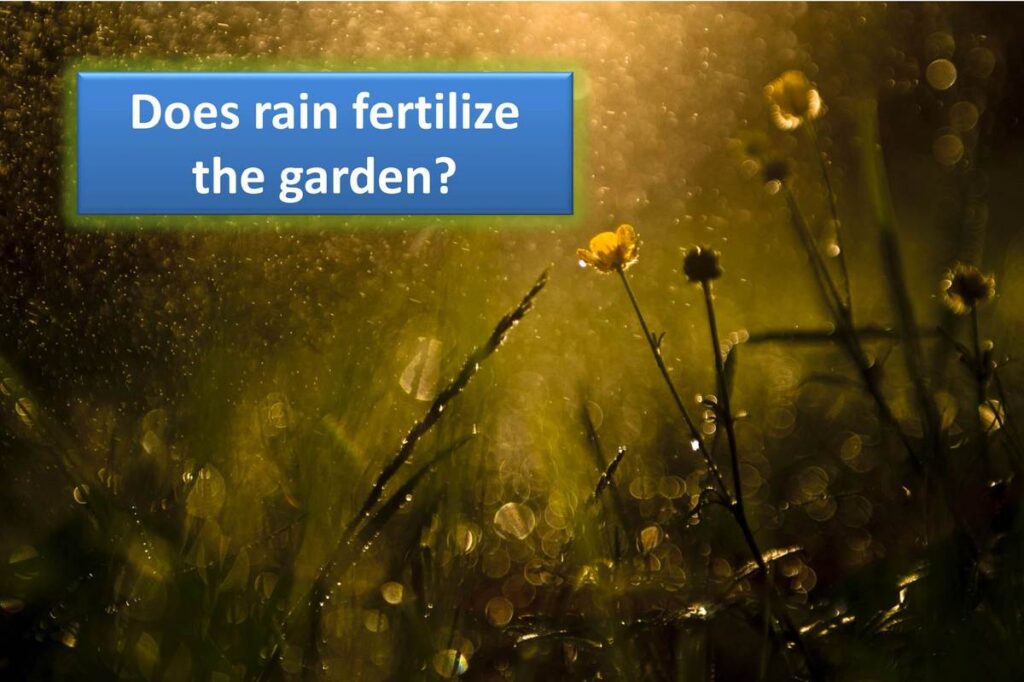 rain-nitrogen-levels.jpg