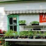 Patti Friday: Signage Images