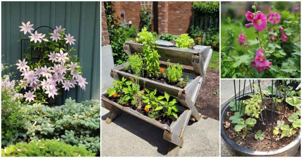 FB-early-summer-chores-v1.jpg
