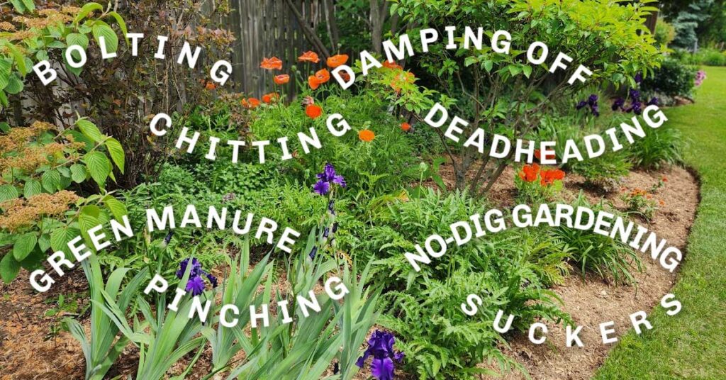 FB-garden-speak-v1.jpg