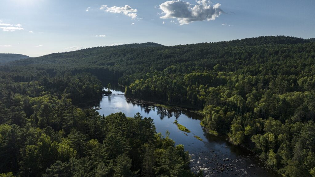 OP_SamD_MattawaRiver_August2022_Stimpson_1750.jpg