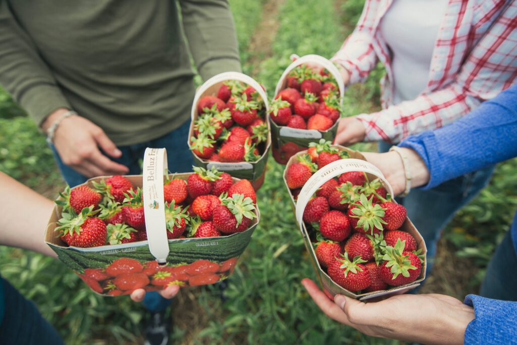 ThunderBay-Strawberries.jpg