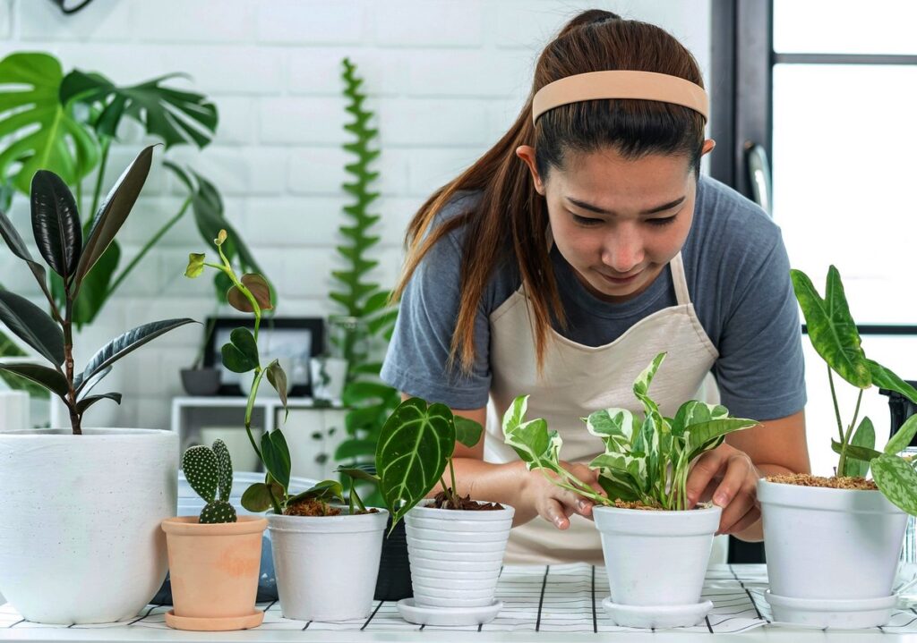 fertilizer-in-potting-soil.jpg