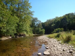 BronteCreek_River.jpg