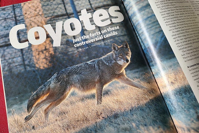 CoyoteWriters760.jpg