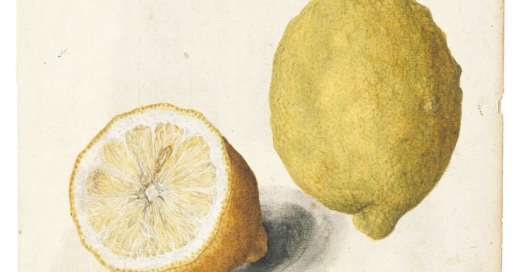 lemon.jpg
