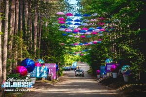 ToDoOntario-Sandhill-Nursery-Glimmer-Globes-driveway.jpg