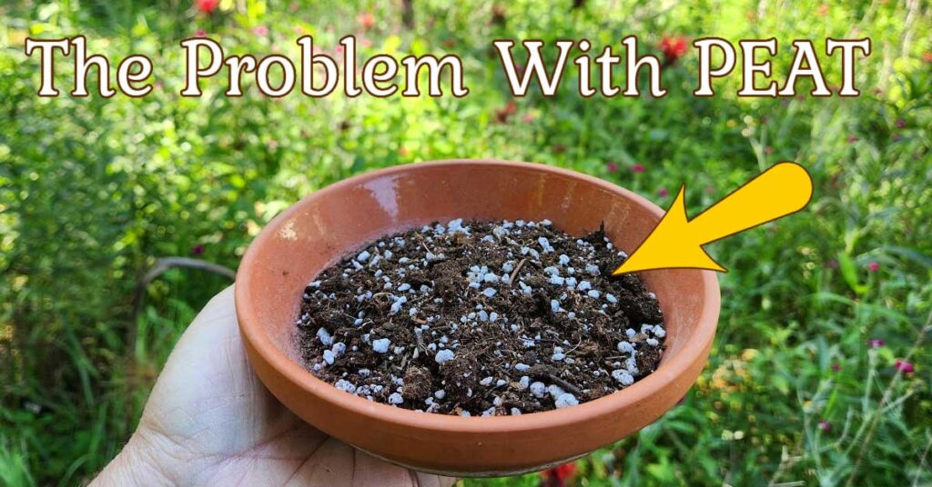 f2-problem-with-peat-v1b.jpg