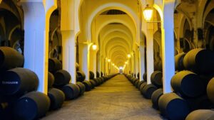 Bodegas-Fundador-Jerez-de-la-Frontera-Photo-Credit-Margarita-Ibbott-2.jpg