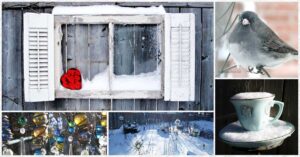 FB-Fall-Winter-Garden-Projects-v3b.jpg