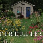 The right way to Entice Fireflies (It Begins With Your Backyard Soil) — Empress of Filth
