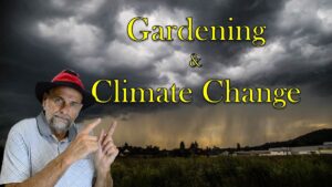 climate-change-video.jpg