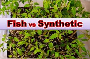 fert-fish-vs-synthetic.jpg