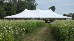 savour-the-field-sdg.jpg