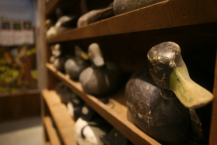 Decoy760.jpg