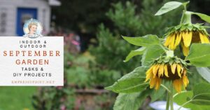 FB-September-Tasks-Projects-v4.jpg