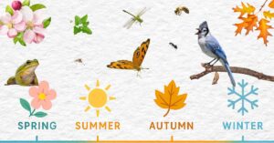 FB-phenology-gardeners-v1-1.jpg