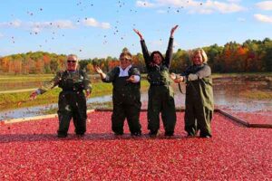 ToDoOntario-Muskoka-Lakes-Farm-Winery-Cranberry-Plunge.jpg