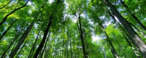 Copy-of-Blog-Banner-2025-09-18T092446.258.jpg