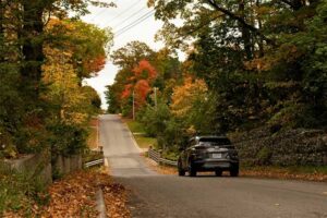 ToDoOntario-Horseshoe-Resort-fall-road-drive.jpg