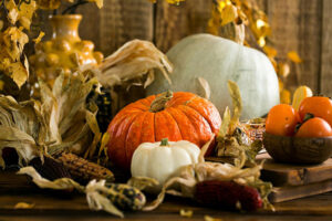 ToDoOntario-fall-gourds-pumpkins.jpg