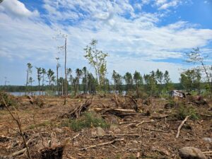 Josie-Dinsmore-Photography-Storm-Damage-Photos-58-Looking-across-Jingwakoki-Campground.jpg