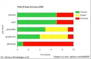 plant-ID-app-2020.jpg