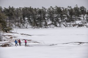Killbear_Winter__Hiking_1245.jpg