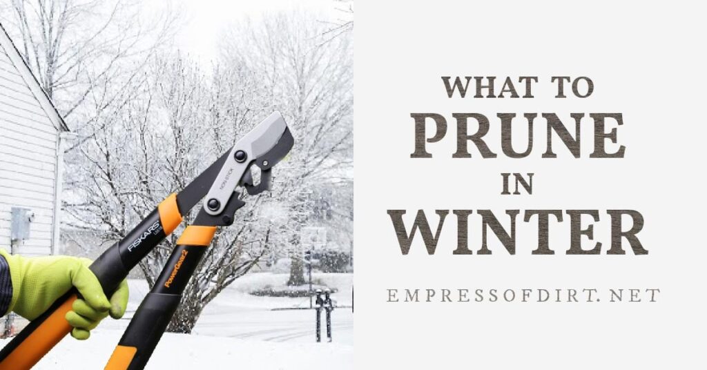 fb-What-Prune-Winter-v1.jpg