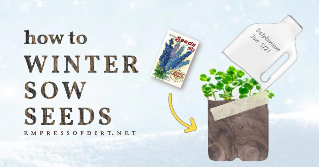 fb-how-to-winter-sow-seeds-v2.jpg