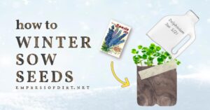 fb-how-to-winter-sow-seeds-v2.jpg
