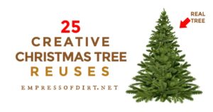FB-reuse-christmas-tree-v1.jpg